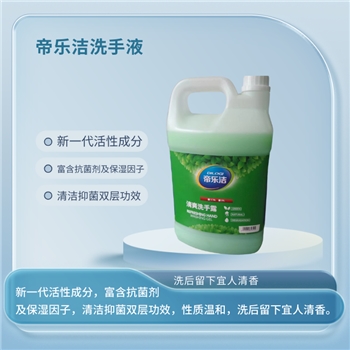 洗手露环境物资个护清洁洗手液帝乐洁